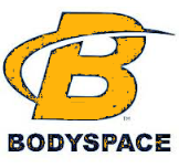 Bodyspace black and gold logo