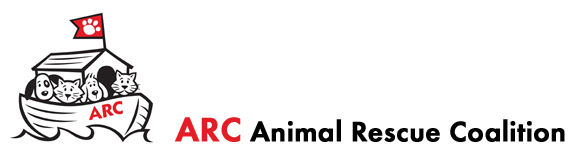 Stephen Bierer Animal Rescue Coalition Sarasota